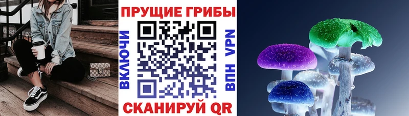 Галлюциногенные грибы мицелий купить сайты Билибино